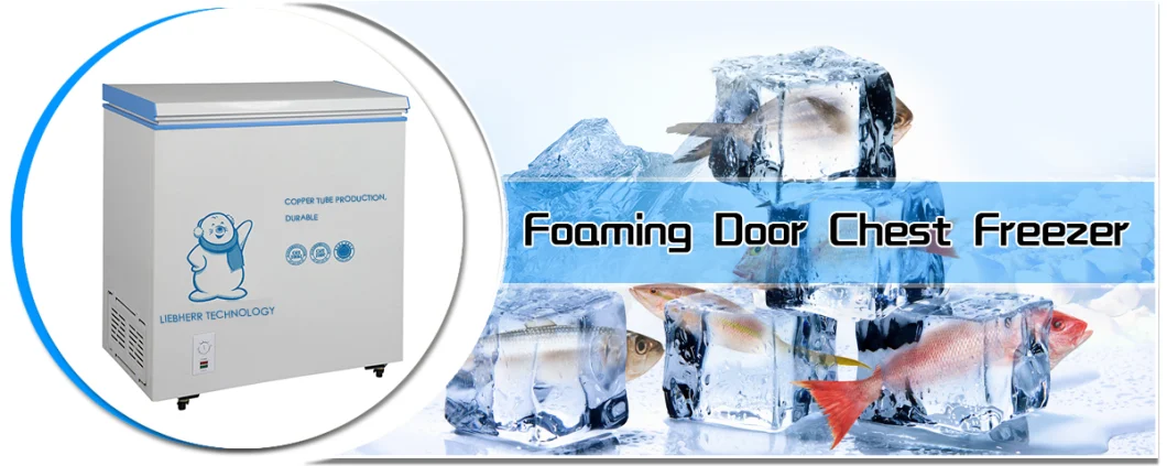 Low Price High-Performance 101L Mini Fridge Small Size Commercial Refrigerator Ice Cream Showcase Chest Freezer Horizontal Deep Freezer with Foaming Door