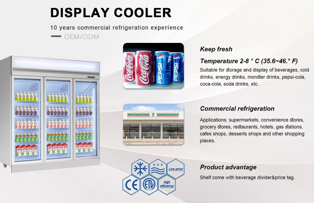 Fan Cooling Glass Door Bottle Cooler Display Refrigerator Fridge