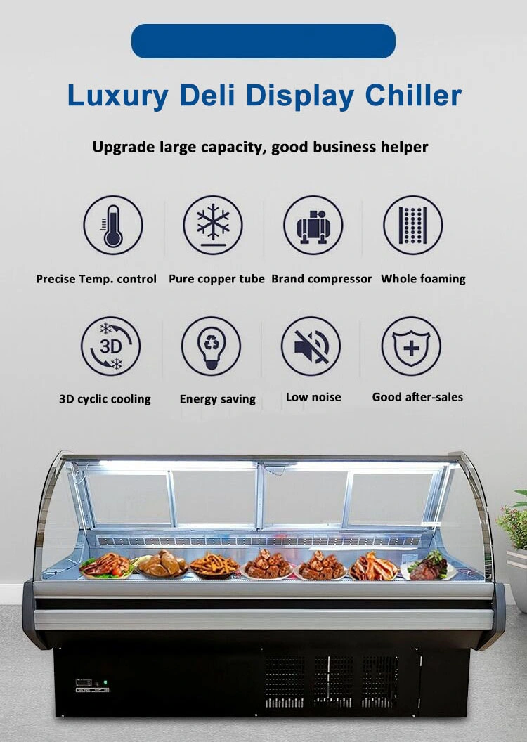 Popular Commercial Refrigerator Meat Cooler Freezer Display Chiller