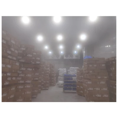 Commercial Food Meat and Fish Cold Storage Refrigerator Freezer Cold Storage Equipment