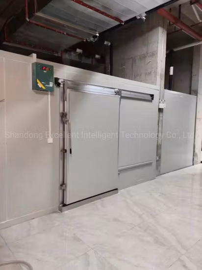Commercial Food Meat and Fish Cold Storage Refrigerator Freezer Cold Storage Equipment