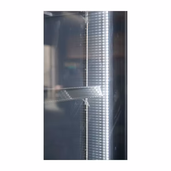 USA Customize Restaurant Ice Cream Freezer Showcase Display Vertical Freezer