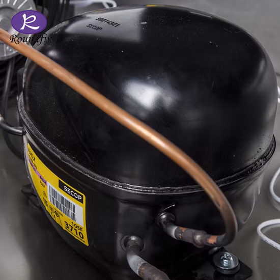 Roundfin Morgue Refrigerator Mortuary Body Cooler Side Open Door Mortuary Refrigerator