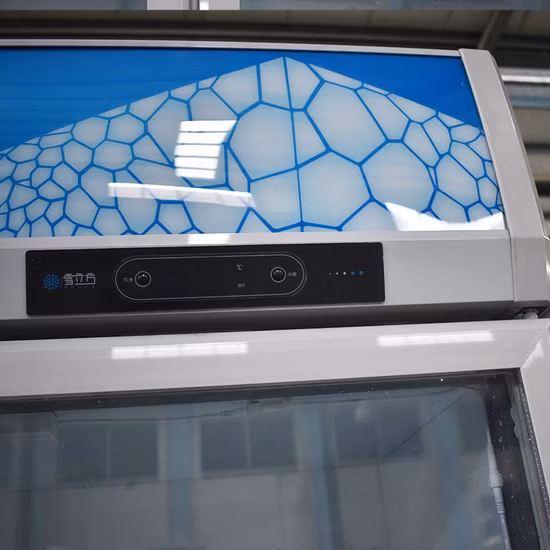 Custom Upright Glass Door Freezer Beverage Display Showcase Fridge