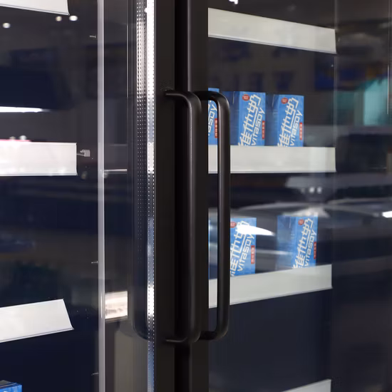 Glass Door Standing Display Freezer Chiller Display Fridge