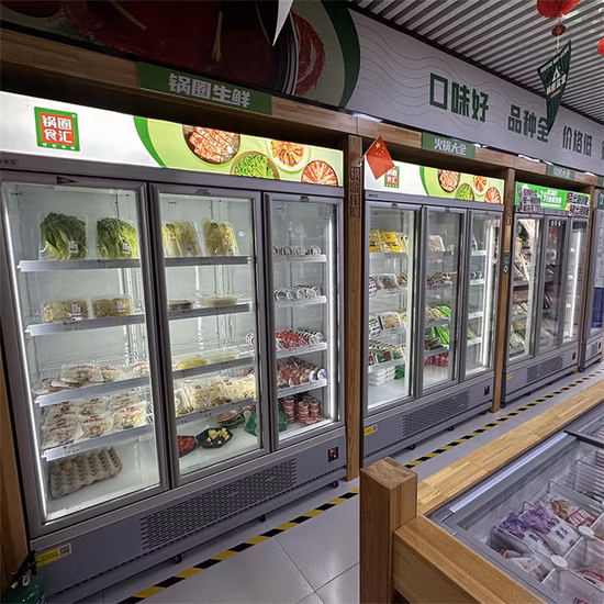 Glass Door Vertical Display Freezer Commercial Refrigerator Freezer for Supermarket